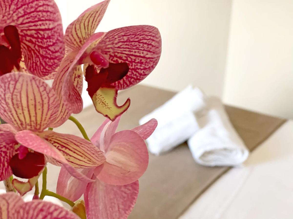 B & B Vilenia 산 니콜라 아르첼라 외부 사진